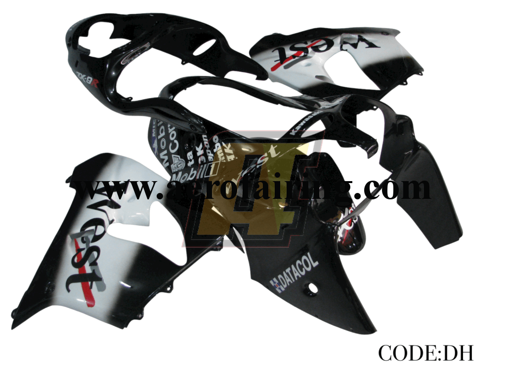 Aero-Fairing Kit For Kawasaki Zx-9R 2000 2001